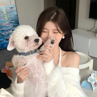 双生赤狐 海报